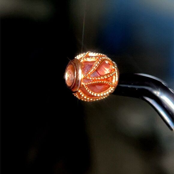 Pandora Rose Encased Charm - Picture 5 of 5